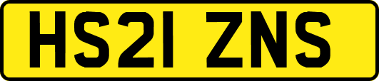 HS21ZNS
