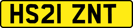 HS21ZNT