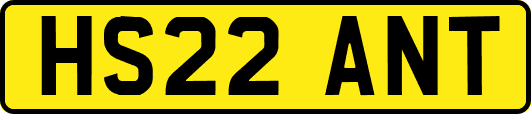 HS22ANT