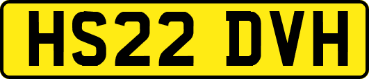 HS22DVH