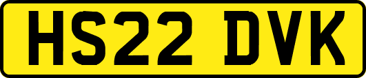 HS22DVK