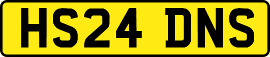 HS24DNS