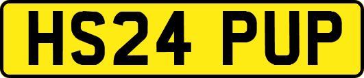 HS24PUP