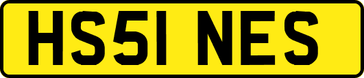 HS51NES