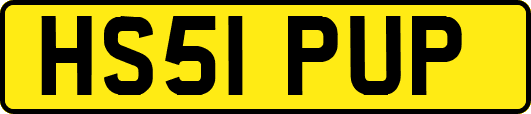 HS51PUP