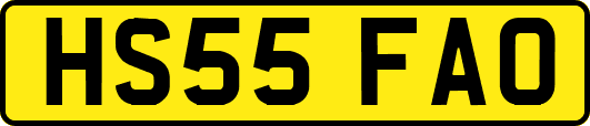 HS55FAO