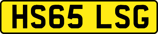 HS65LSG