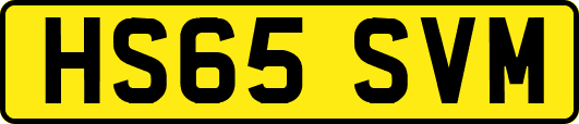 HS65SVM