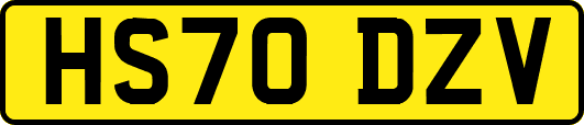 HS70DZV