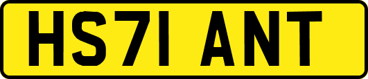 HS71ANT