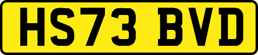HS73BVD
