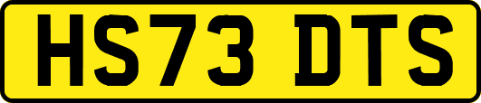 HS73DTS