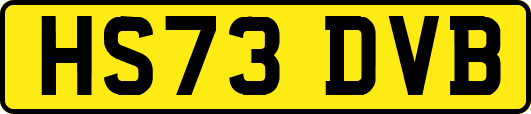 HS73DVB