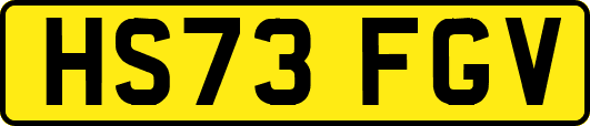 HS73FGV