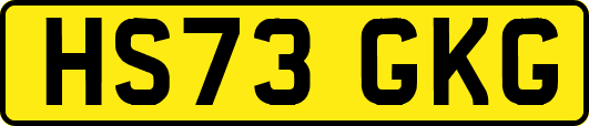 HS73GKG
