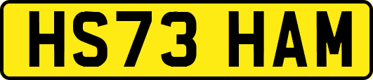 HS73HAM