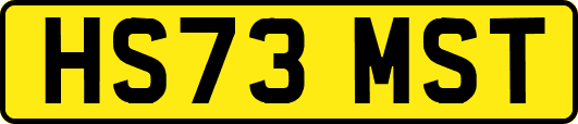 HS73MST