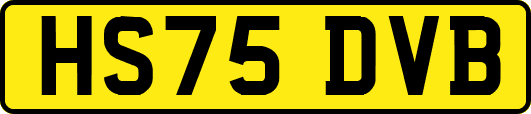 HS75DVB