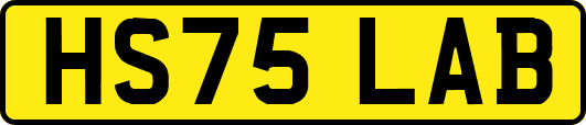 HS75LAB