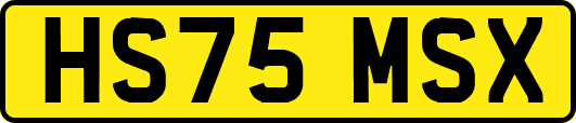 HS75MSX