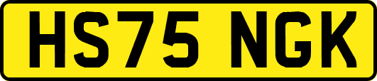 HS75NGK