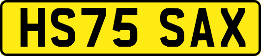 HS75SAX