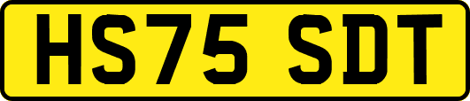 HS75SDT