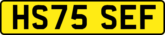 HS75SEF