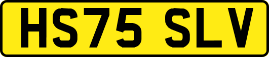 HS75SLV