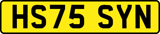 HS75SYN
