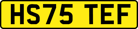 HS75TEF