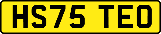 HS75TEO