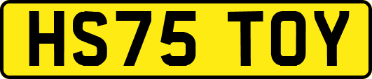HS75TOY
