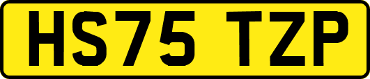 HS75TZP