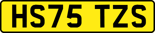 HS75TZS
