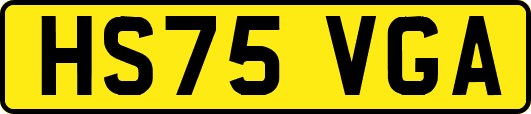HS75VGA