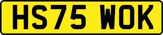 HS75WOK