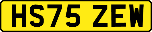 HS75ZEW