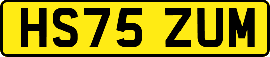 HS75ZUM