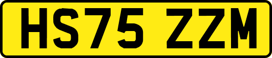 HS75ZZM