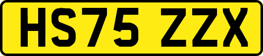 HS75ZZX