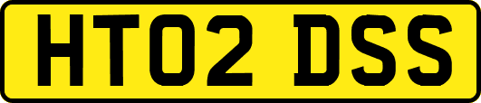 HT02DSS