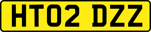 HT02DZZ