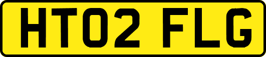 HT02FLG