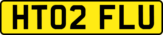 HT02FLU