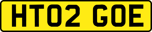 HT02GOE