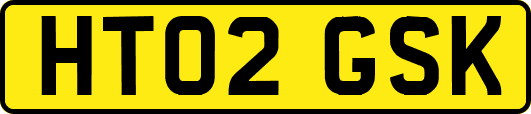 HT02GSK