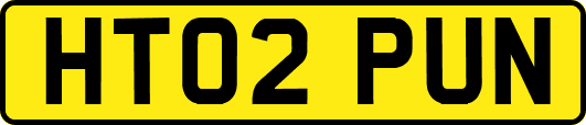 HT02PUN