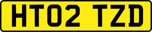 HT02TZD
