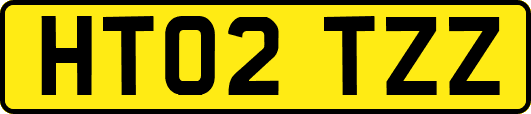 HT02TZZ